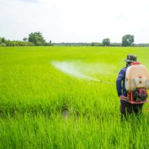 Máy phun thuốc trừ sâu