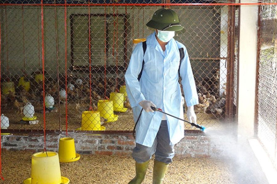 phun thuoc khu trung chuong
