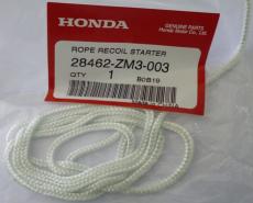 Giây giật động cơ